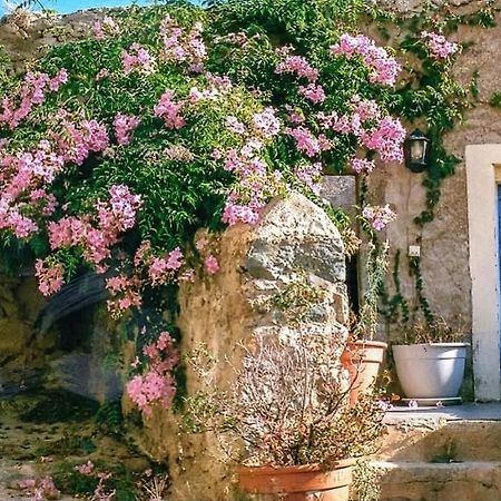 Le Patio. Casa Mucchielli Bed & Breakfast Корбара Екстериор снимка